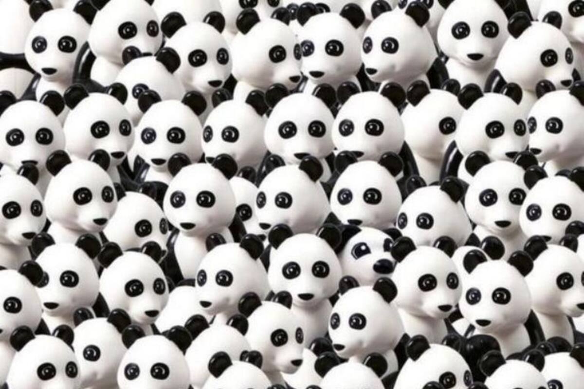 Reto Visual: Encuentra al perro entre los pandas