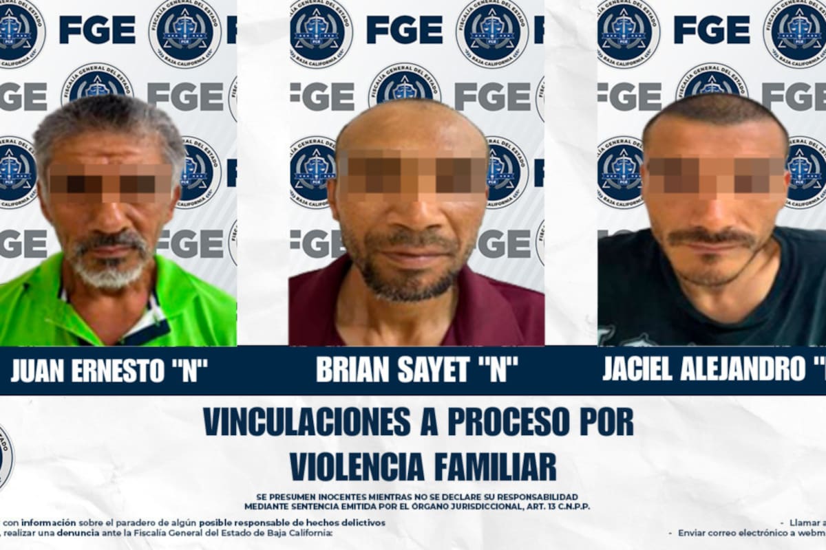 Amenazas, golpes y agresiones: tres hombres son vinculados por violencia familiar