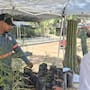 Donan árboles nativos en Hermosillo para promover la reforestación urbana