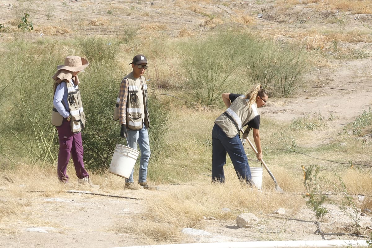 Reforestan La Sauceda: Plantan más de mil 500 árboles nativos en el polígono Suroeste del Bosque Urbano