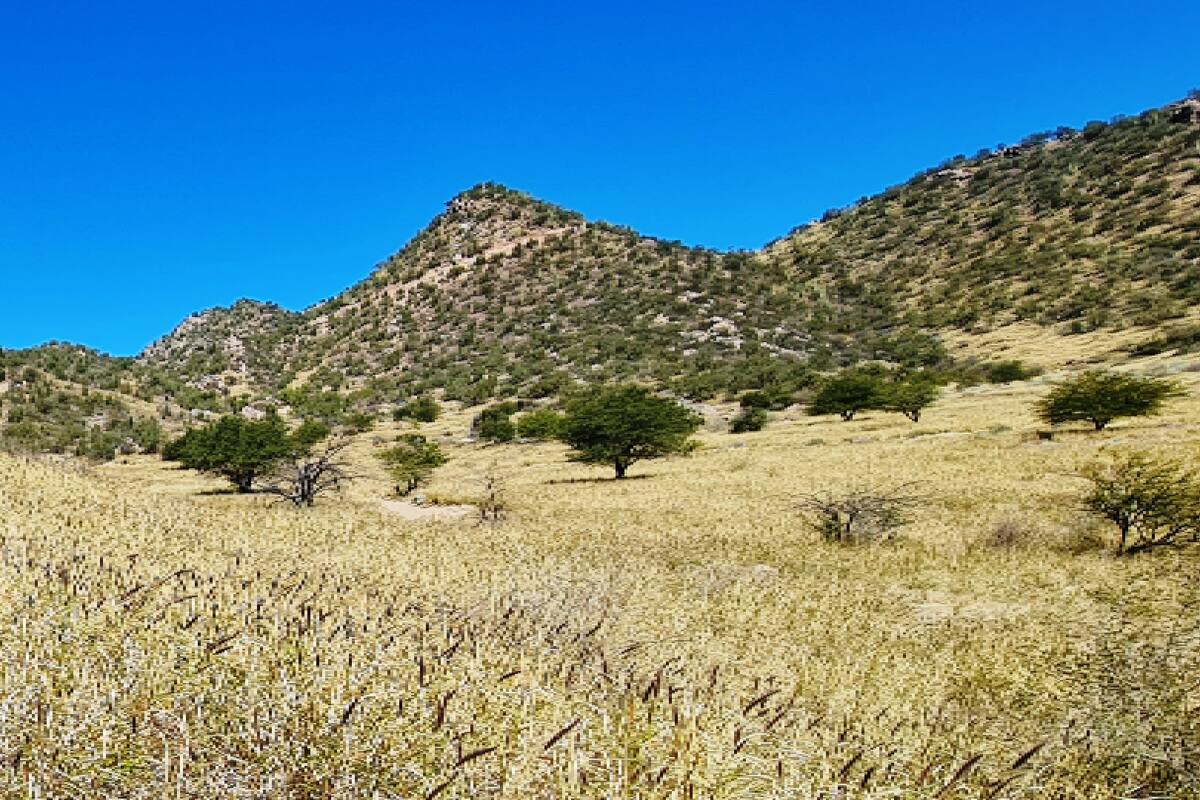 Policías ayudan a dos adolescentes que no podían bajar del cerro Parque Central en Hermosillo