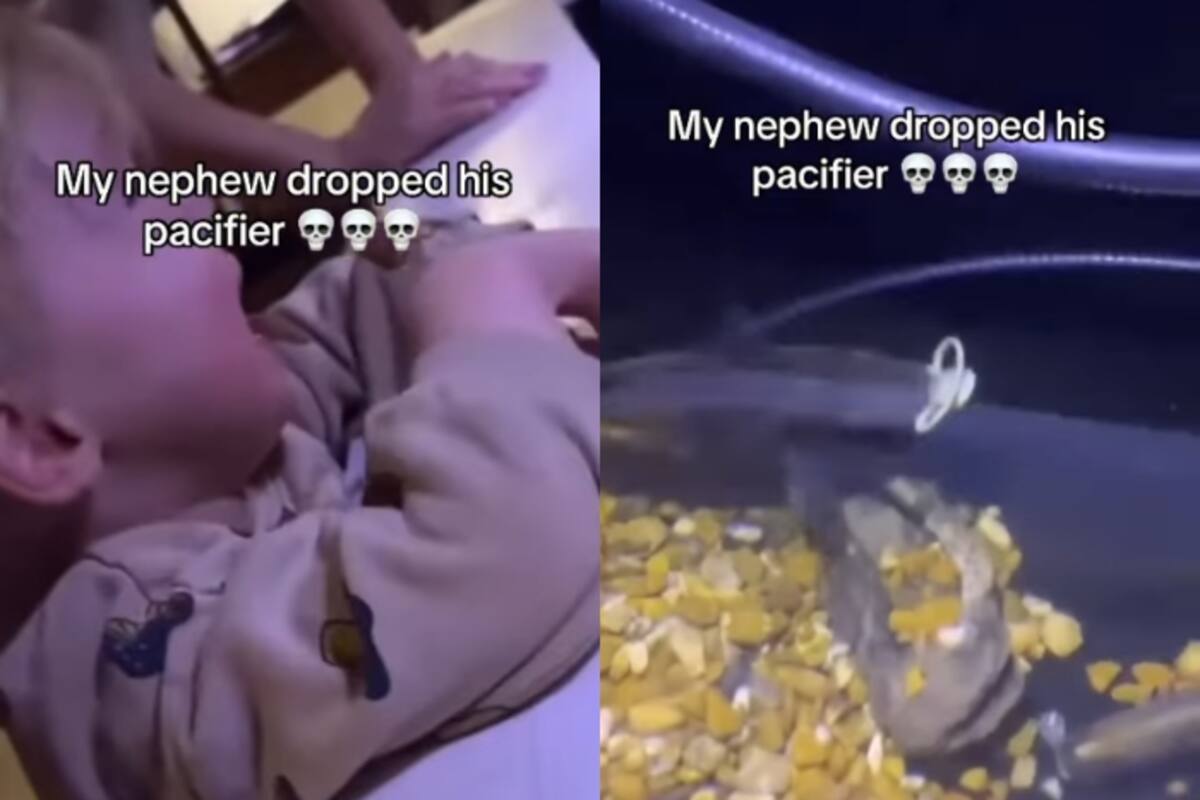 Mujer graba el momento en que su sobrino deja caer un chupón al lago y un pez lo usa