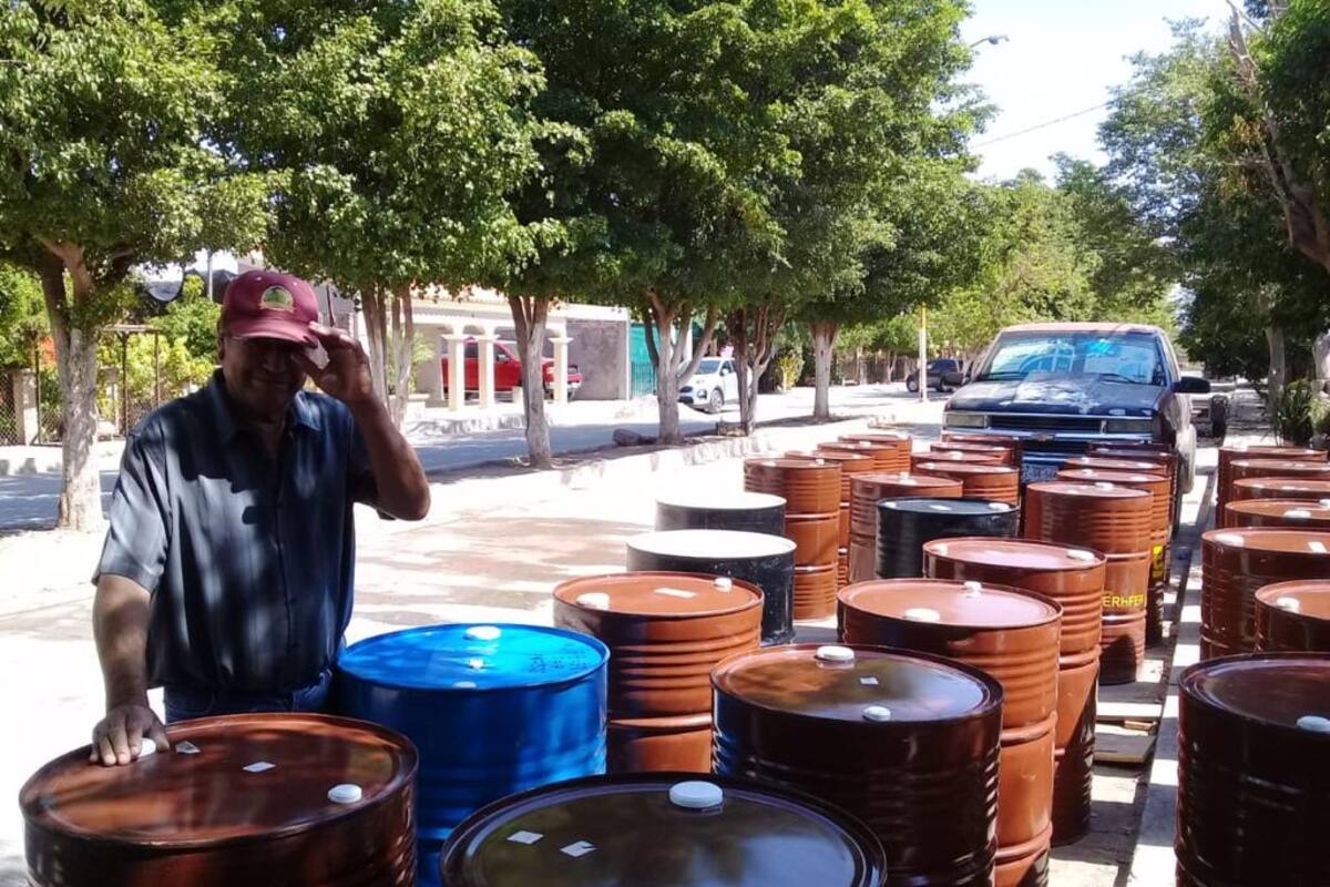 Corre riesgo la apicultura en el Sur de Sonora