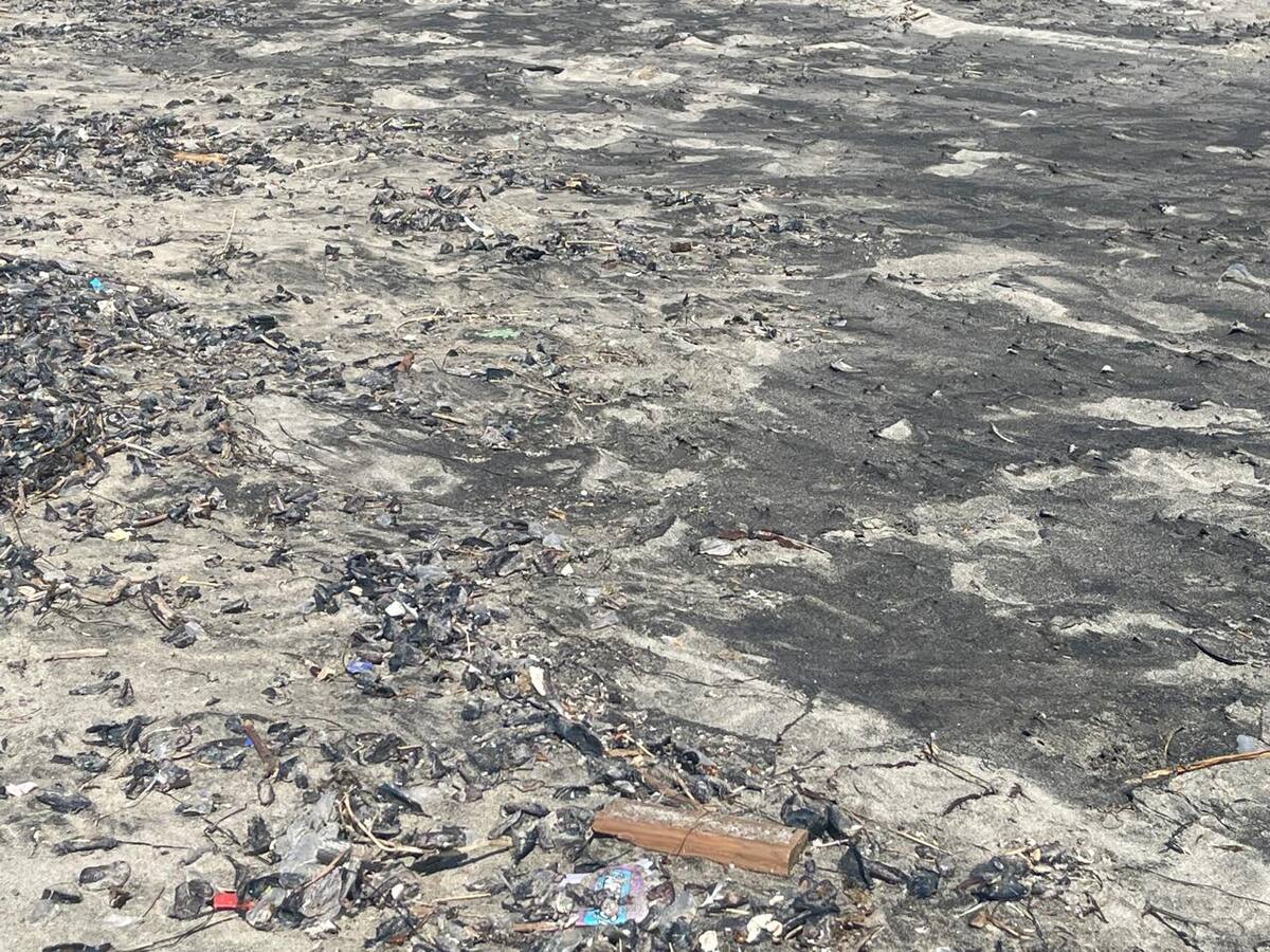 Foto: Carmen Gutiérrez