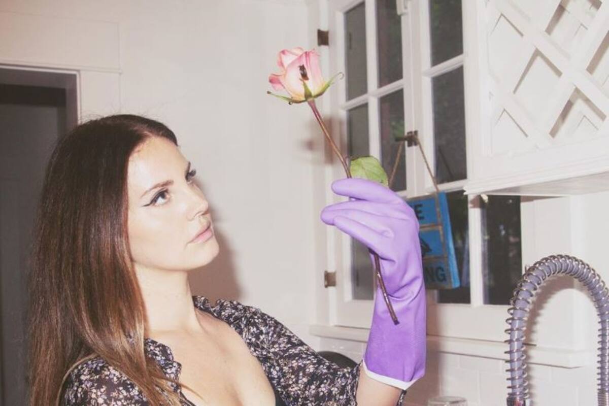 Lana del Rey y Sean Larkin han terminado su relación