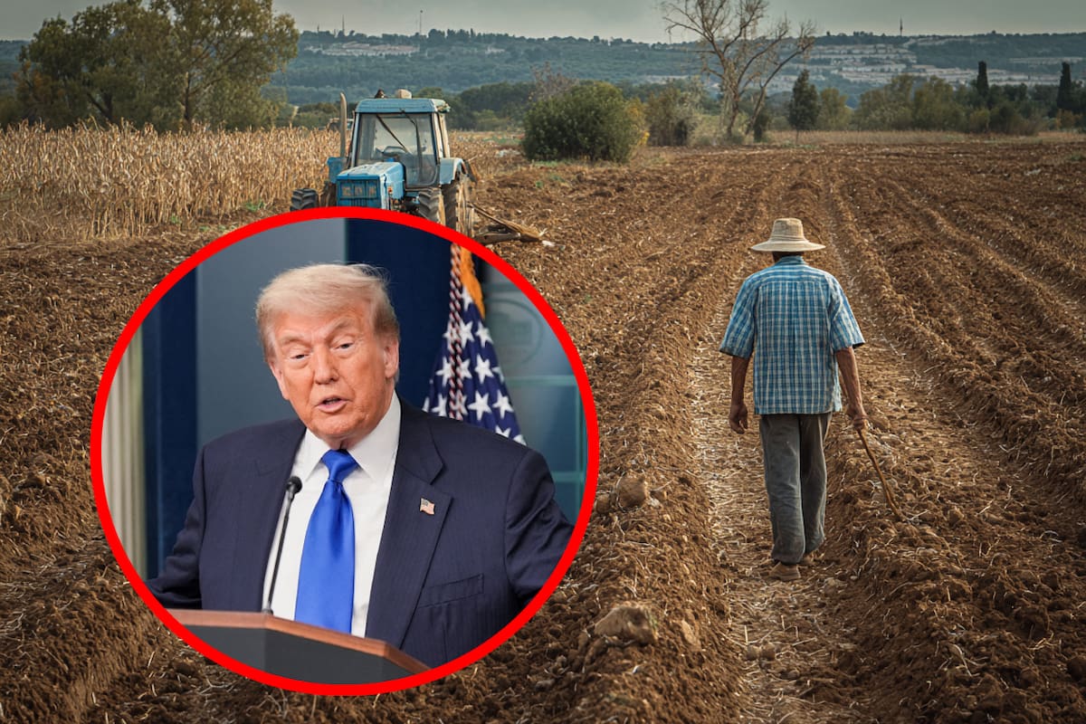 EEUU nunca legalizará a migrantes porque no podrán abusar de ellos y explotarlos para una mano de obra barata: Video viral en TikTok