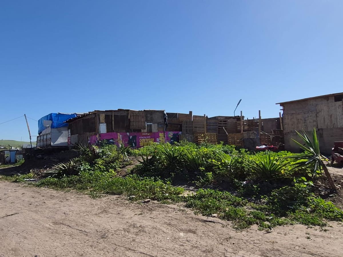 Al menos una decena de casas improvisadas fueron detectadas en terrenos federales de Pemex, considerados de alto riesgo por la presencia de ductos. Foto: Carmen Gutiérrez
