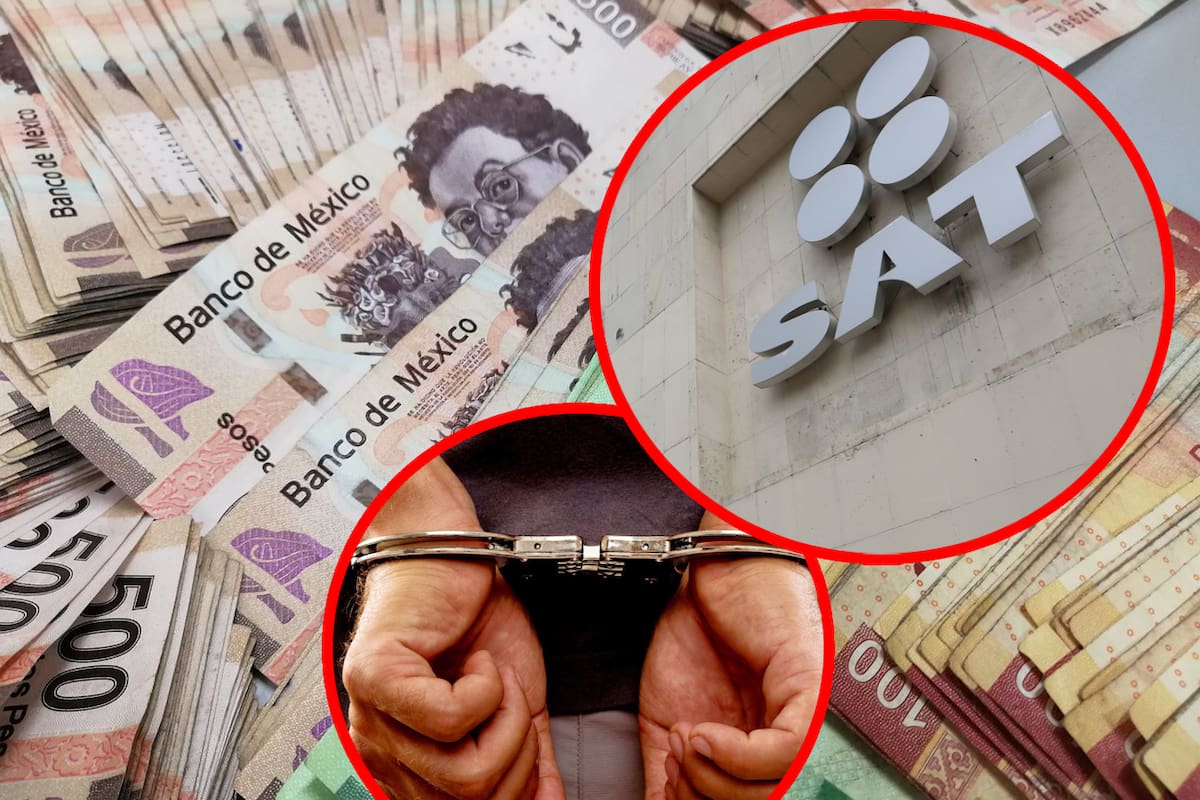 Debes declarar al SAT si recibes esta cantidad de dinero para no meterte en serios problemas