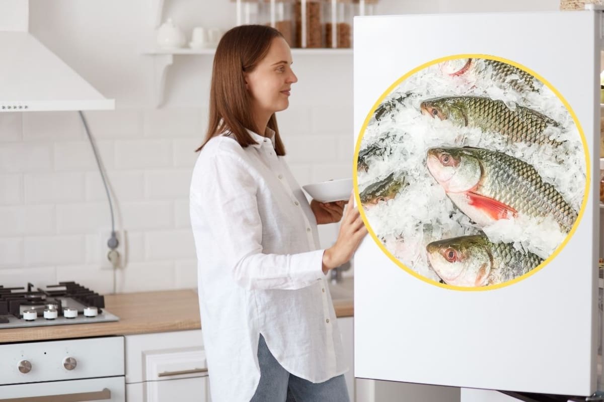 El pescado puede durar hasta 6 meses en el congelador sin echarse a perder si lo almacenas correctamente dependiendo de si se va a consumir en corto plazo o si se quiere conservar por más tiempo