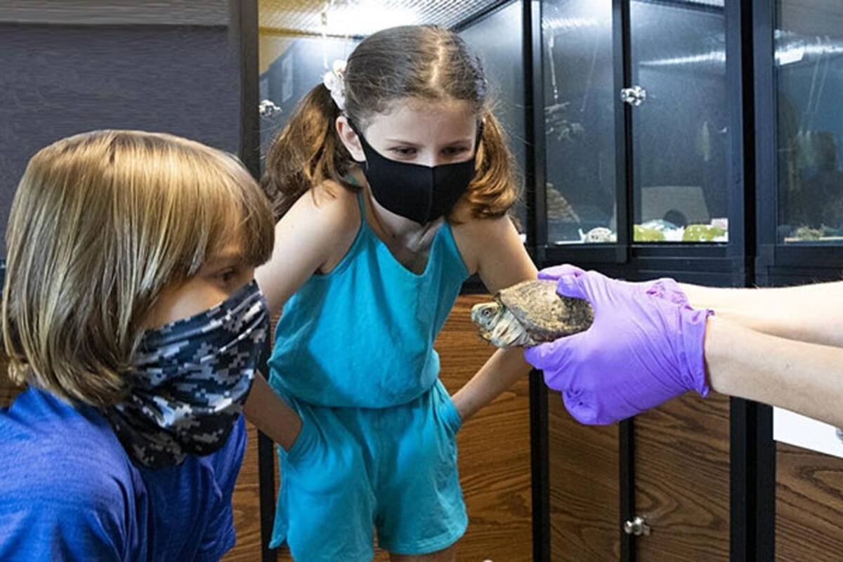 Niños aprenden de los animales con campamento en San Diego