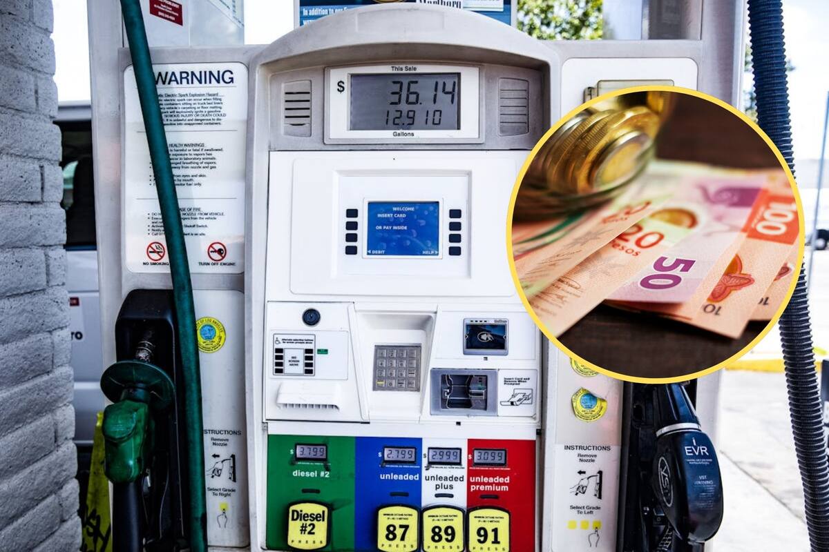 Nuevamente Hacienda suspende estímulos fiscales a gasolinas