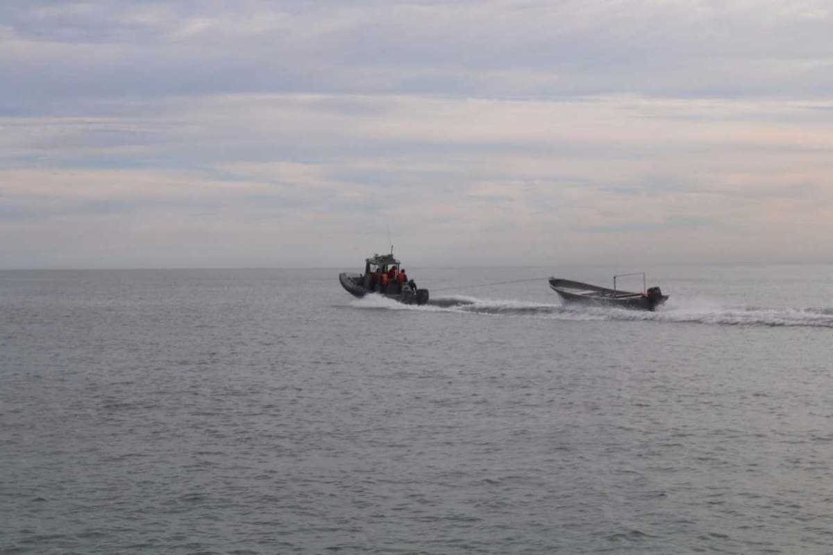 Cumple 32 años la Reserva del Alto Golfo de California: bastión ecológico del noroeste