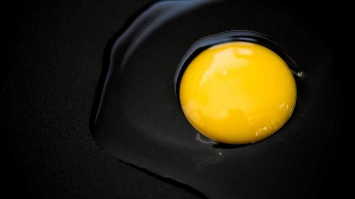 Cómo identificar la contaminación invisible por Salmonella mediante la prueba del agua y los códigos de lote afectados, tras el retiro masivo de 19 millones de huevos en EEUU | Magnific
