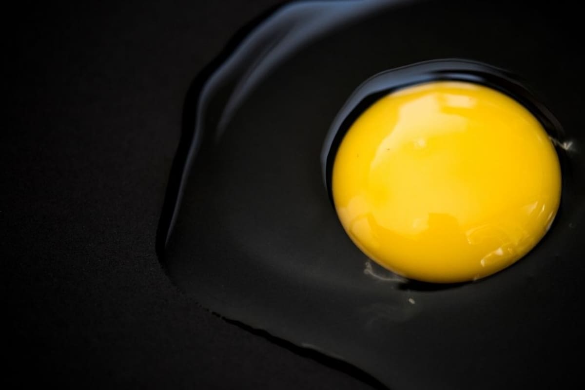 Cómo identificar la contaminación invisible por Salmonella mediante la prueba del agua y los códigos de lote afectados, tras el retiro masivo de 19 millones de huevos en EEUU