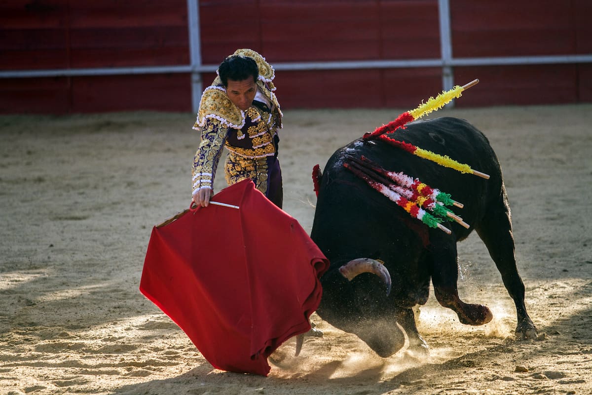 Mientras algunos aplauden la iniciativa como un avance en el trato ético hacia los animales, otros, como Martínez, la consideran una distracción frente a problemas más urgentes.