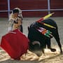 Aprueba Cabildo abrogación del Reglamento de Espectáculos Taurinos de Tijuana
