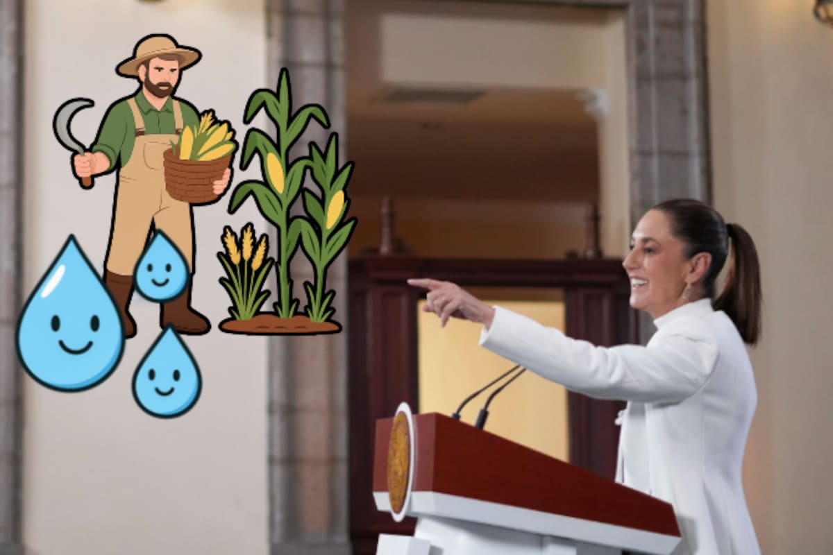 Sheinbaum asegura que agricultores del norte no sufrirán afectaciones por entrega de agua a Estados Unidos