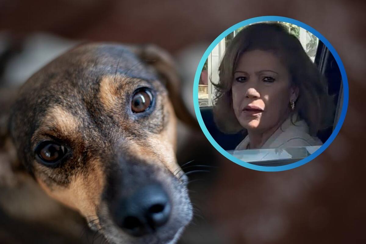 VIDEO: Mujer arrastra a perrito con su camioneta porque “se la dañó”