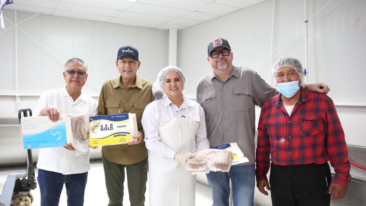 Gobierno de Sonora impulsa comercialización de curvina golfina para fortalecer economía pesquera: López Cárdenas