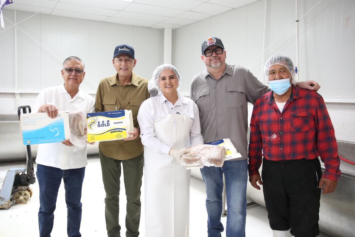 Gobierno de Sonora impulsa comercialización de curvina golfina para fortalecer economía pesquera: López Cárdenas