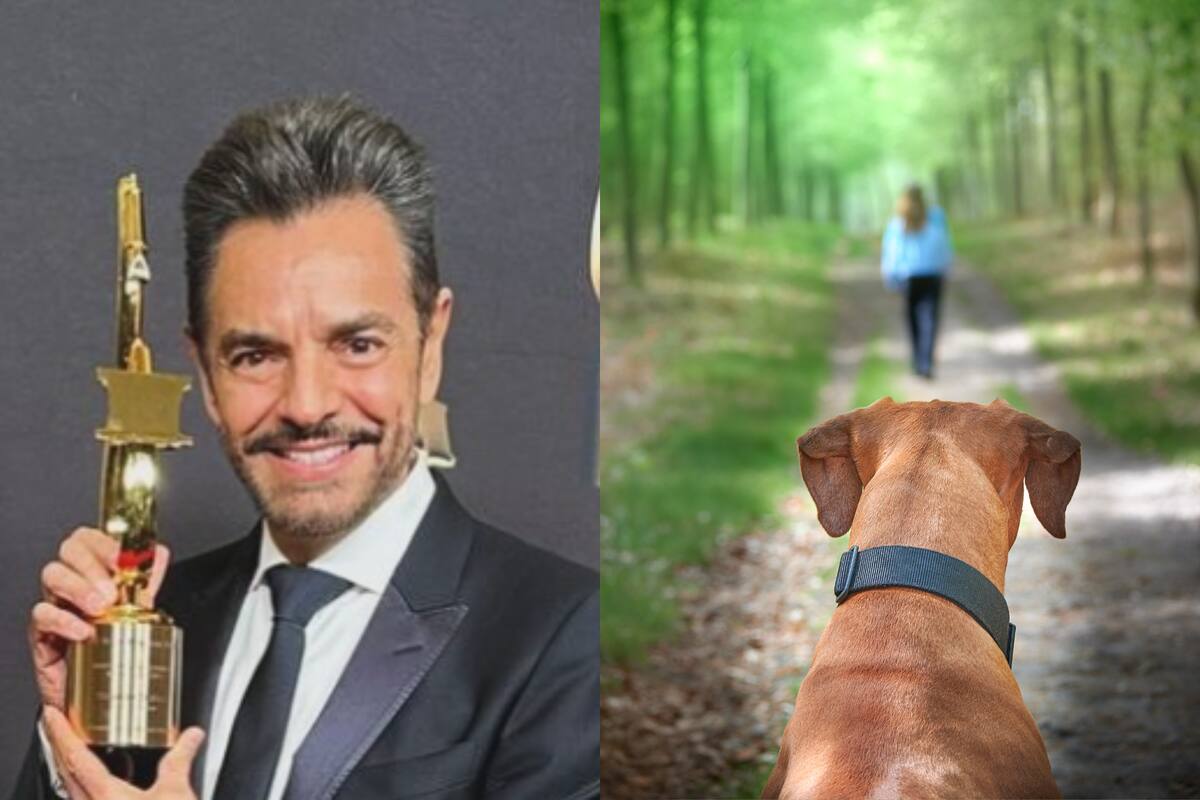 Eugenio Derbez: "Estoy ayudando a perros, tu ayuda a quien más quieras."