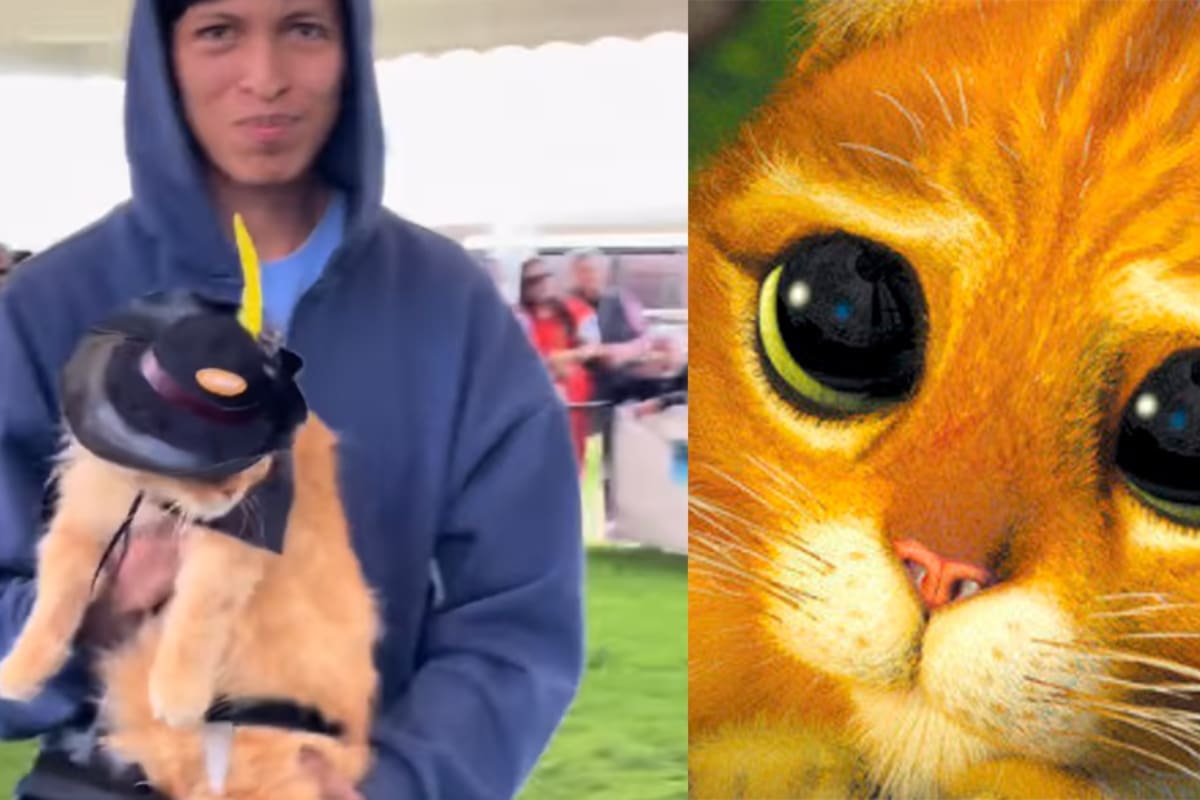 Joven viste a su gato como el Gato con Botas de Shrek y causa sensación
