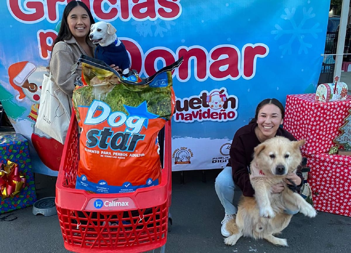 La edición 27 del Croquetón busca reunir 5 toneladas de alimento para apoyar a 19 agrupaciones dedicadas al rescate animal. Foto: Cortesía
