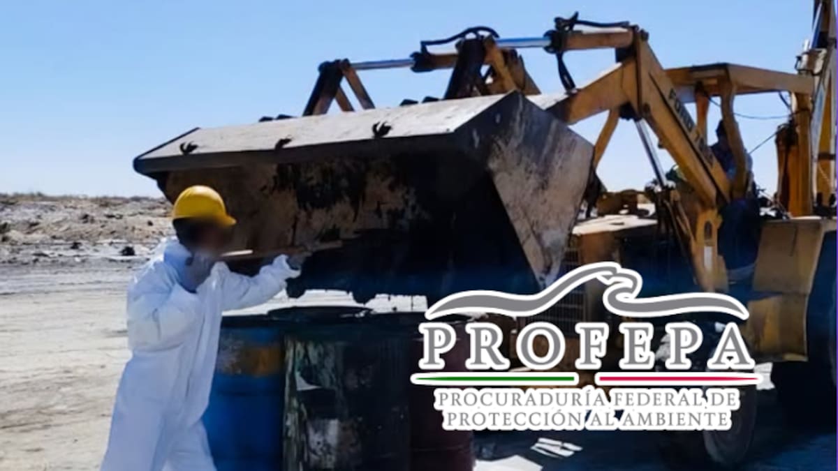 Derrame de aceite usado contamina zona cercana a manglares en Baja California Sur: residuos peligrosos fueron abandonados sin control a solo 200 metros de la costa