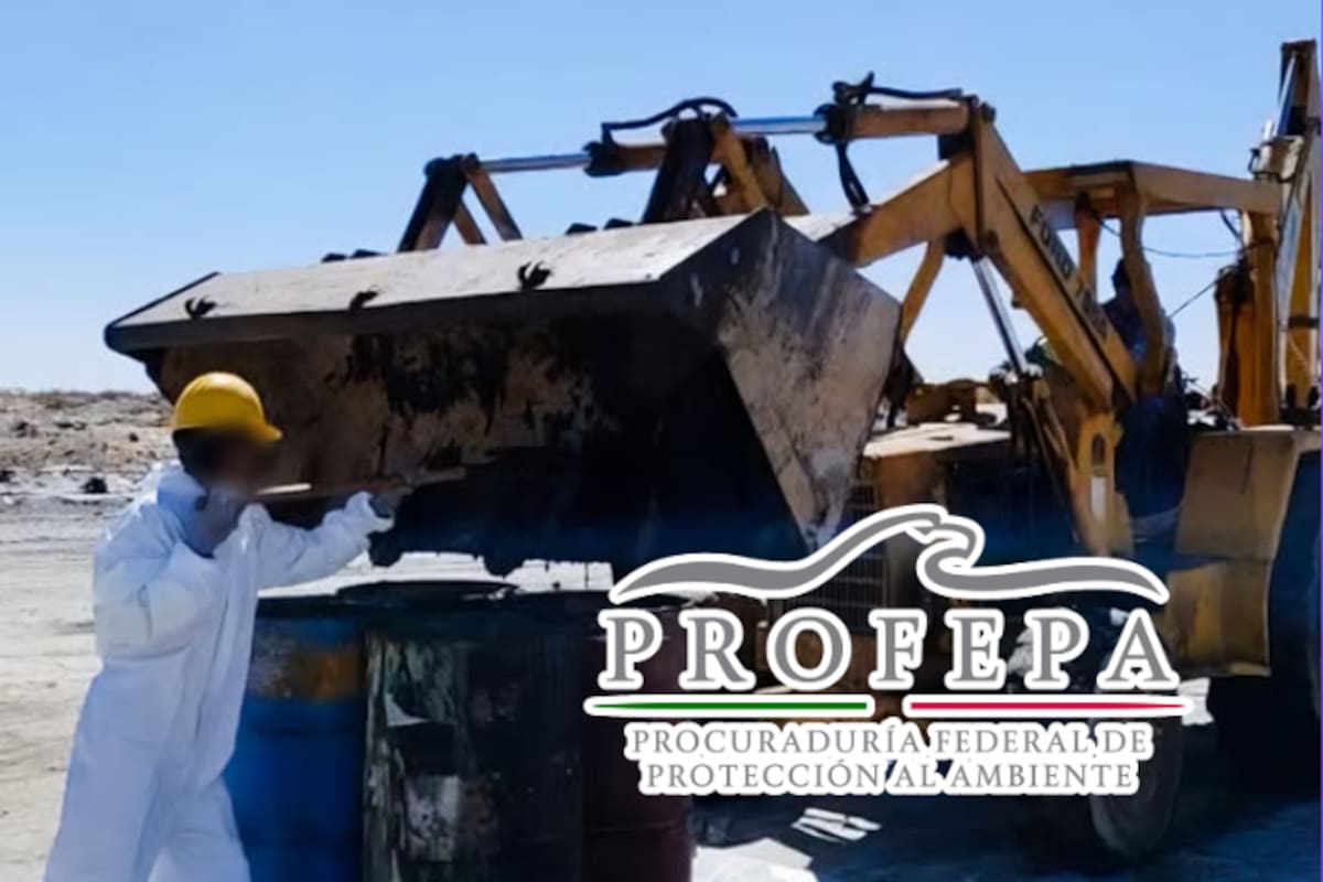 Derrame de aceite usado contamina zona cercana a manglares en Baja California Sur: residuos peligrosos fueron abandonados sin control a solo 200 metros de la costa