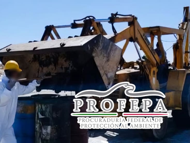 Derrame de aceite usado contamina zona cercana a manglares en Baja California Sur: residuos peligrosos fueron abandonados sin control a solo 200 metros de la costa