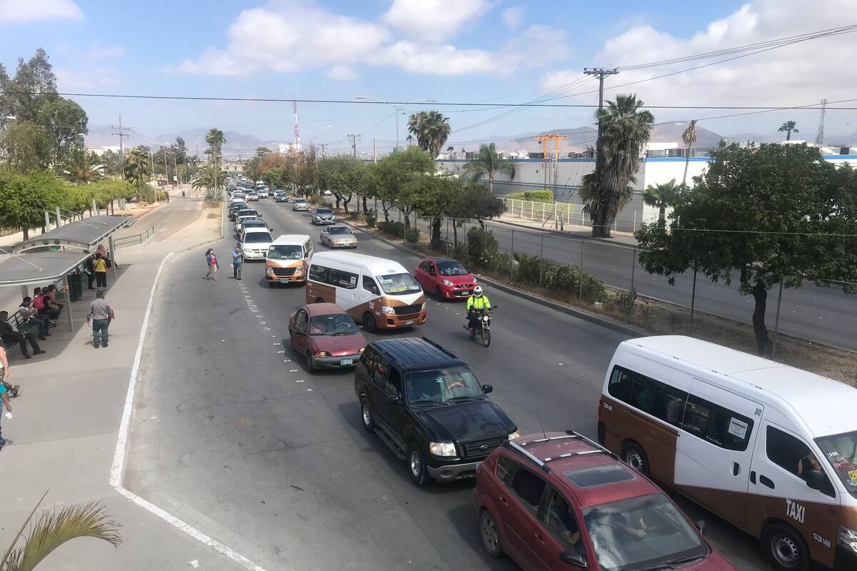 Fila para vacunación en UABC alcanza kilómetros
