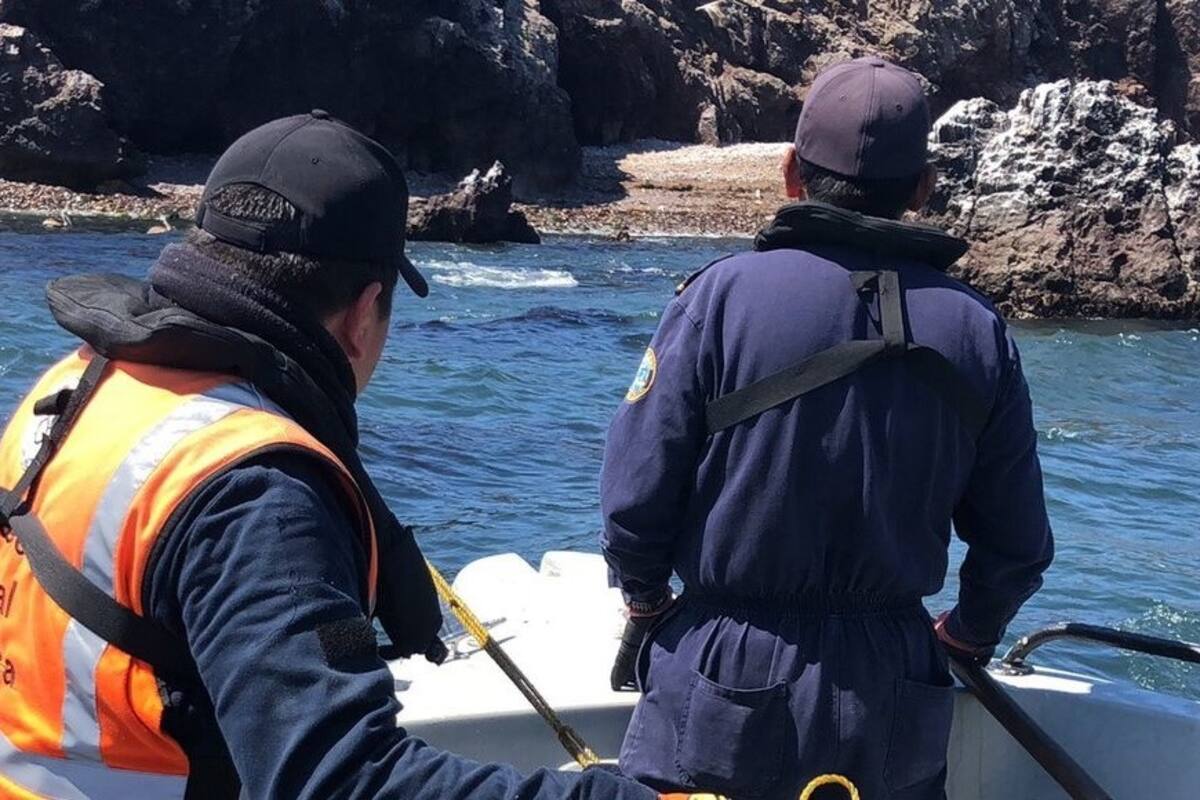 Personal Naval localiza 50 trampas ilegales de langosta