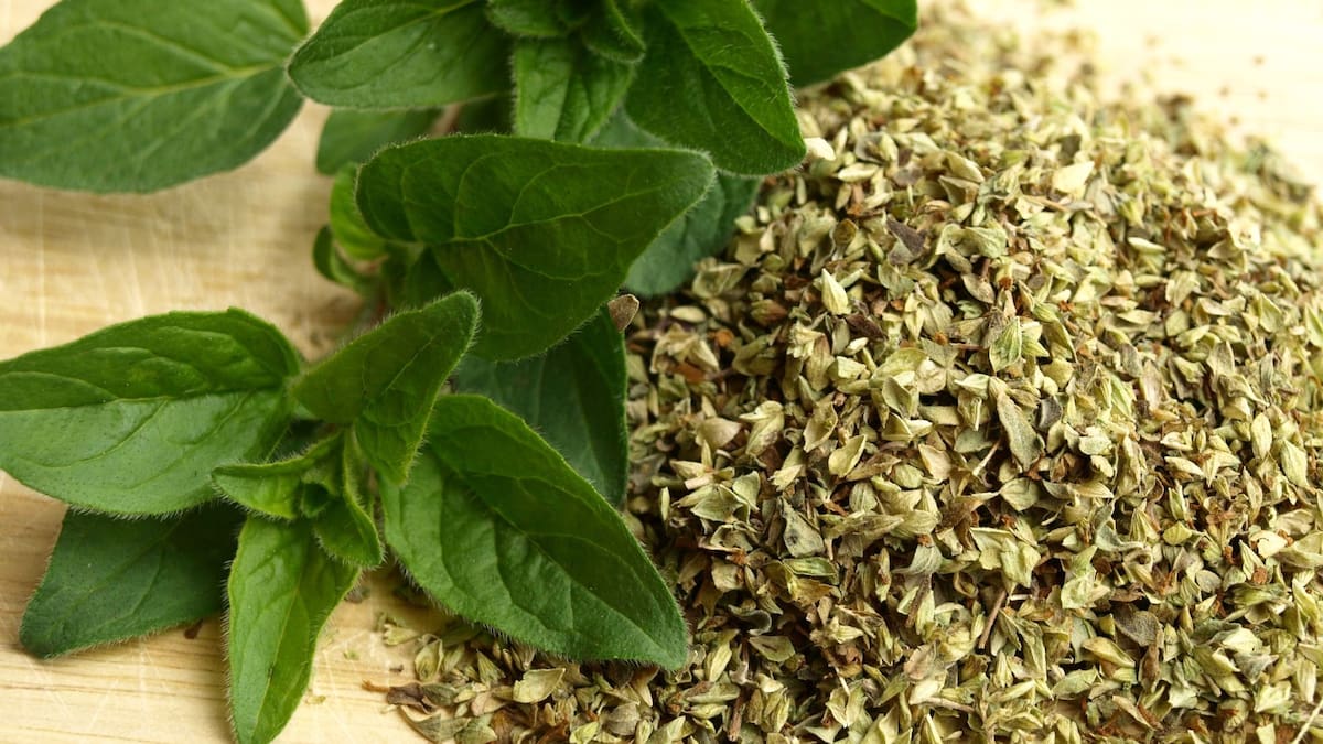 Té de orégano | Foto: Especial