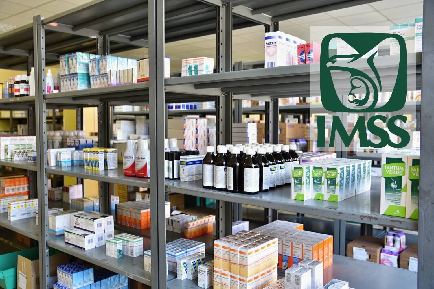 La presidenta aseguró que “en julio estaremos esperando que ya se normalice todo el abasto de medicamentos”.