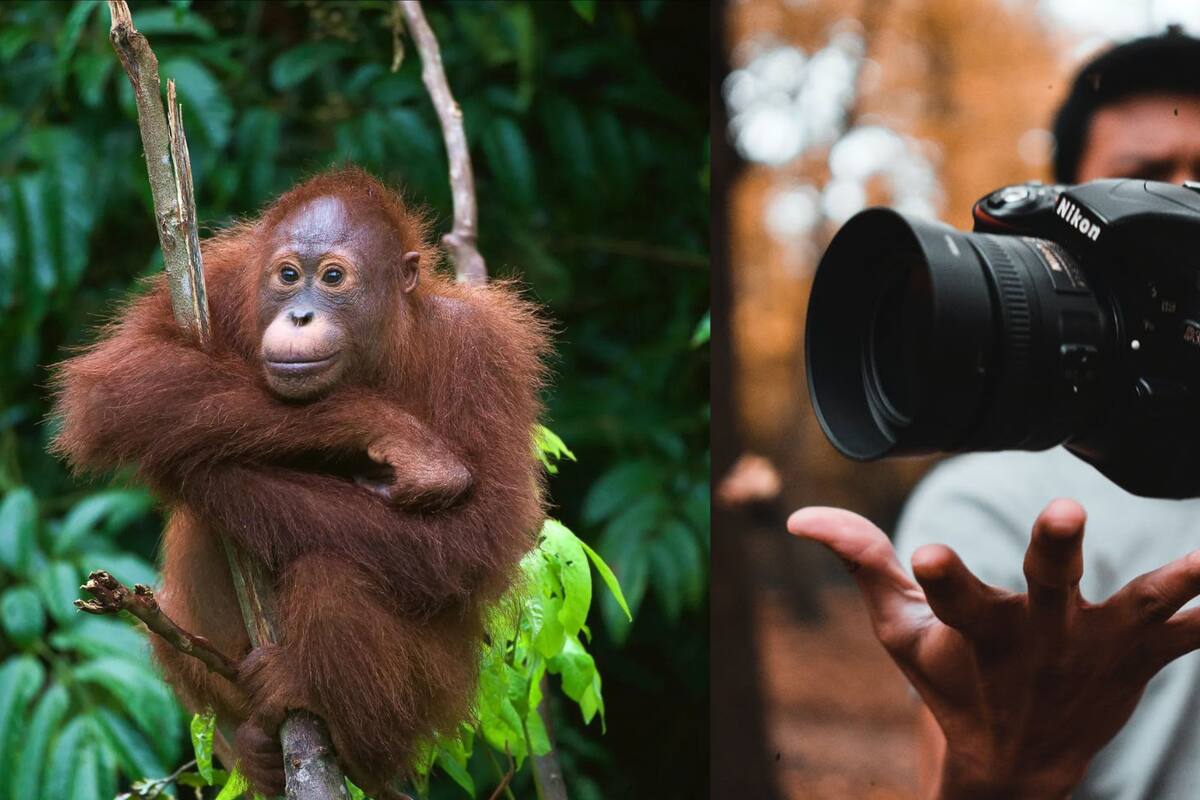Efemérides del 19 de agosto: ¿Qué pasó un día como hoy?