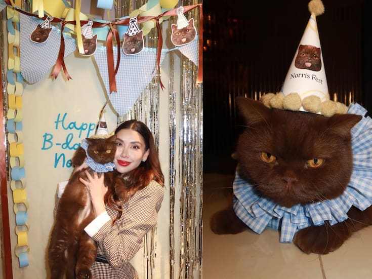 Karime Pindter celebra el cumpleaños de su gato Norris con una fiesta de lujo en casa: decoración personalizada, pastel especial y el felino que ya es celebridad en redes