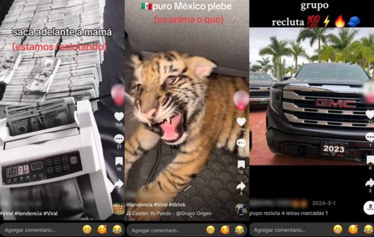 La estrategia digital del CJNG: el uso de TikTok para atraer a nuevos miembros al crimen organizado. Foto de redes sociales