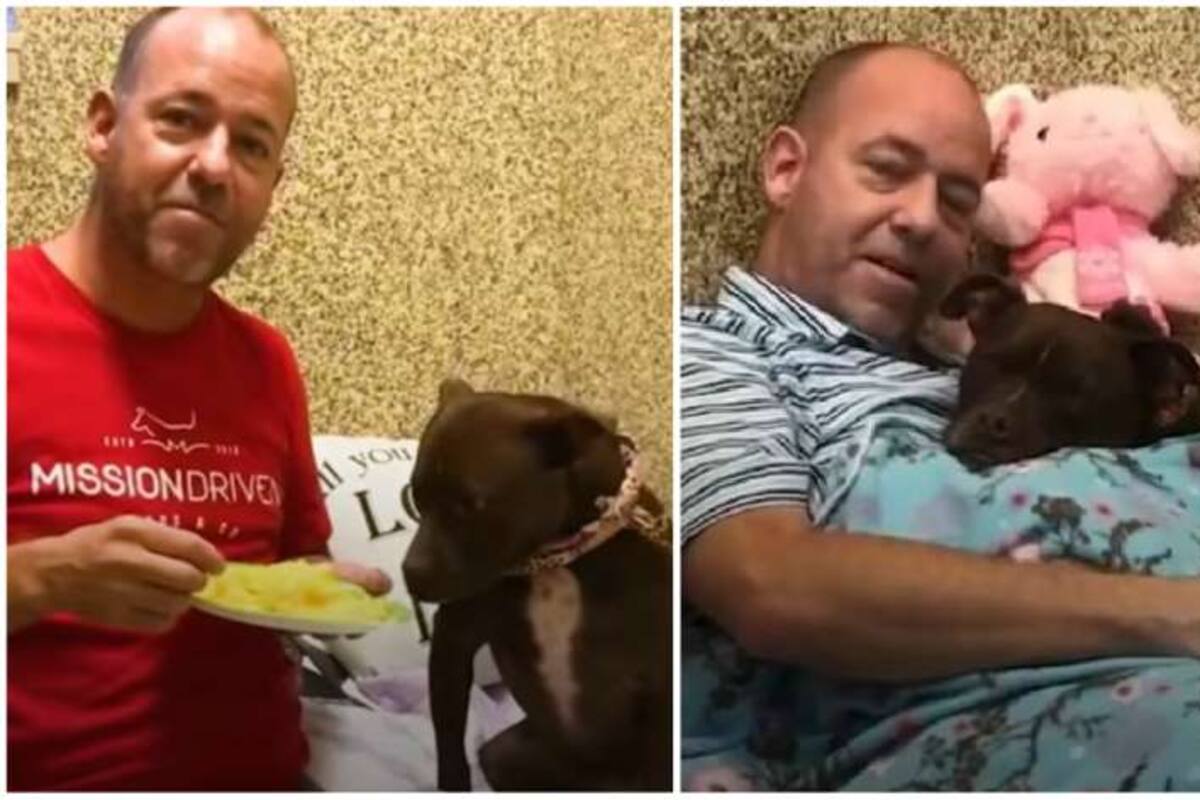 Hombre decide mudarse a un refugio para ayudar a perrita a ser adoptada