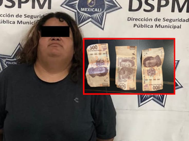 “Cacha” empleado a mujer robando en restaurante y es detenida