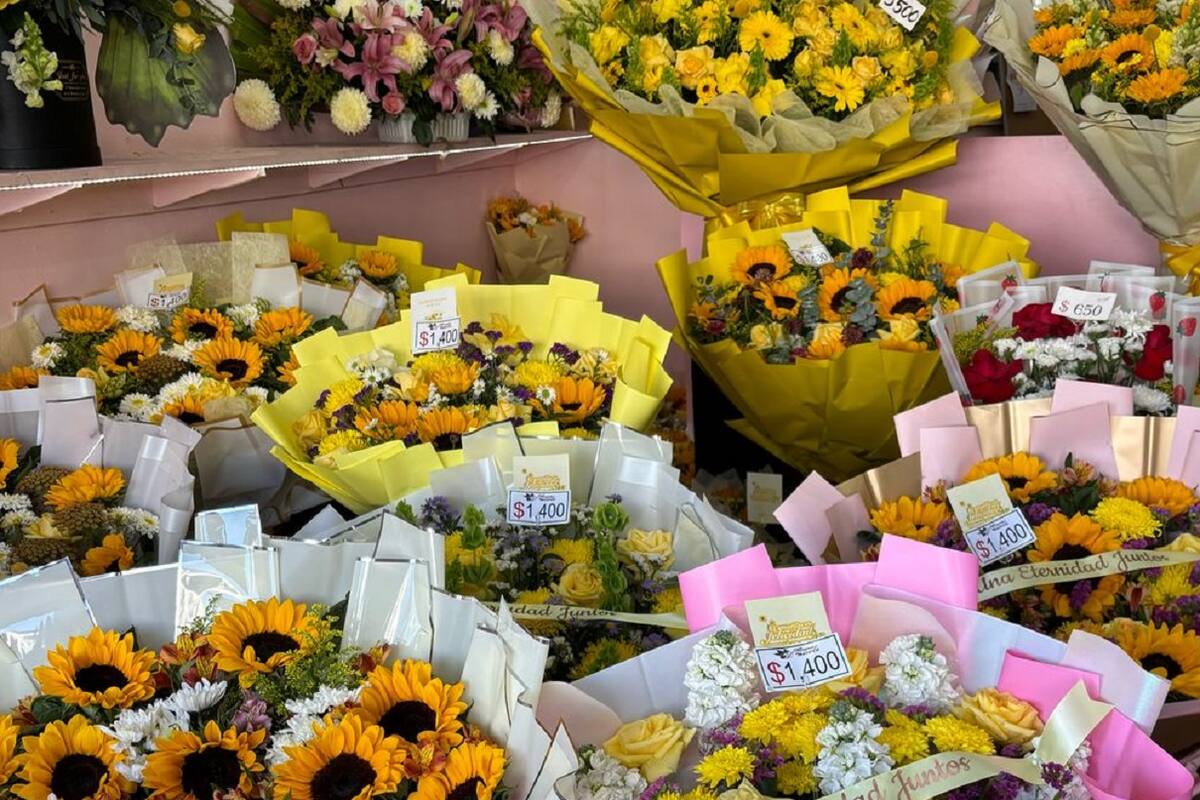 Primavera trae las flores amarillas