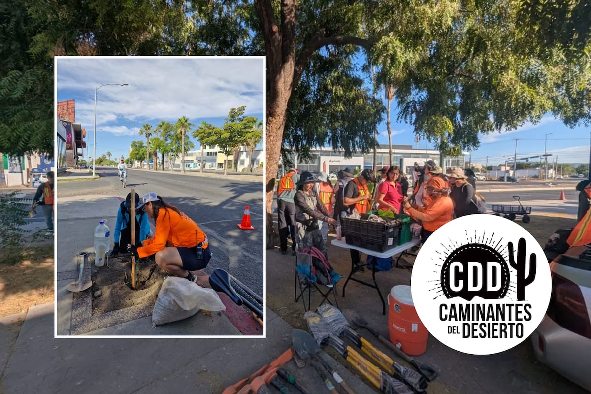 Sombra 360 en Hermosillo: cómo sumarse como voluntario o donar herramientas para plantar árboles