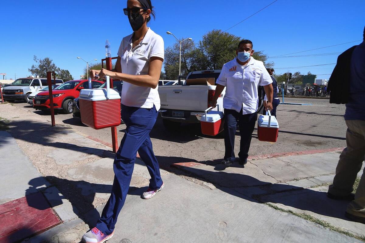 Buscan empresas mecanismo para adquirir la vacuna anti Covid-19