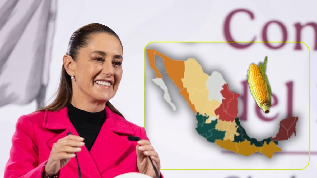 Claudia Sheinbaum lanza el Plan Nacional del Maíz Nativo: estos son los estados donde iniciará