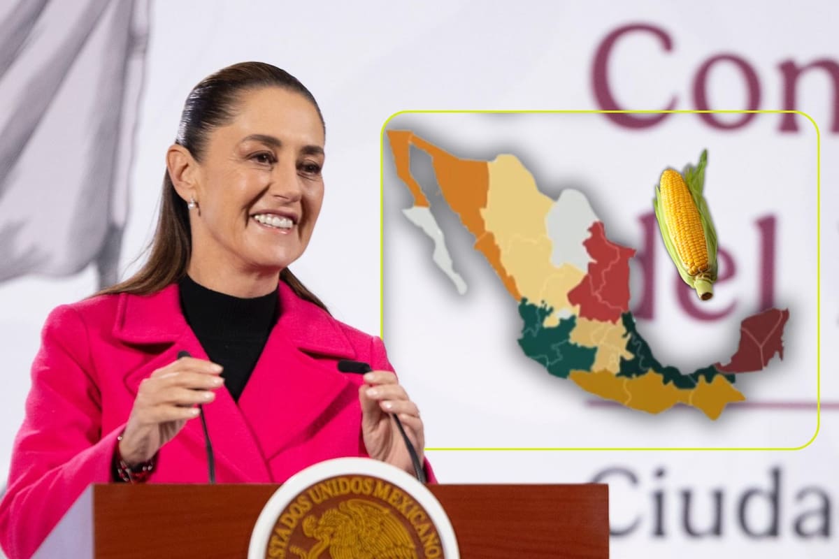 Claudia Sheinbaum lanza el Plan Nacional del Maíz Nativo: estos son los estados donde iniciará