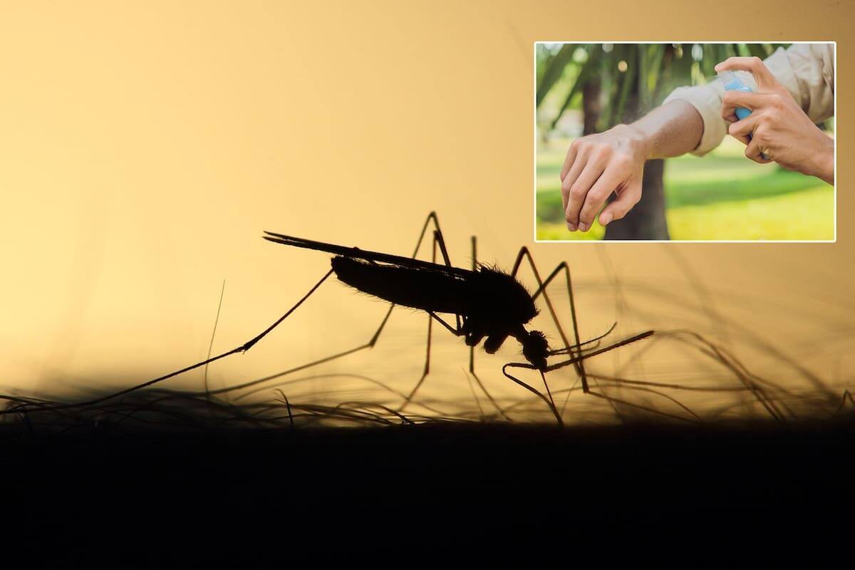 Los repelentes comerciales sirven para ahuyentar a los mosquitos.