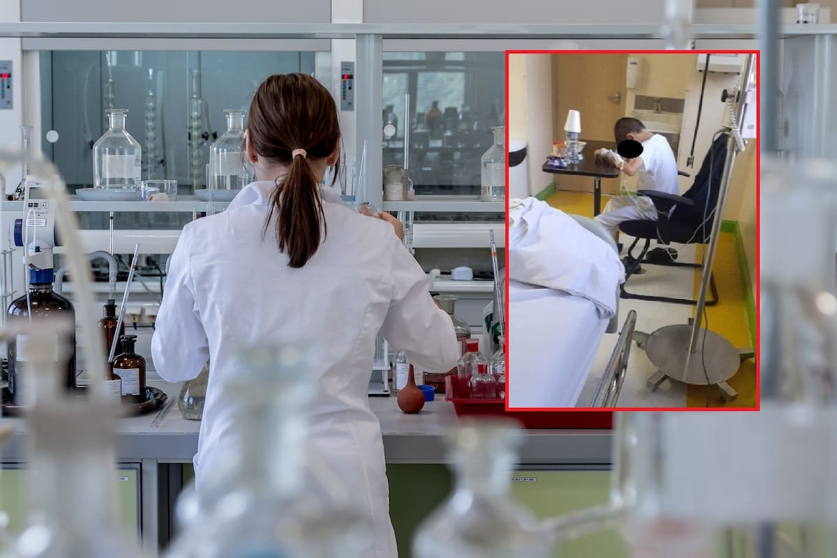 Generan células madre sanguíneas, un paso adelante para personalizar el tratamiento de la leucemia