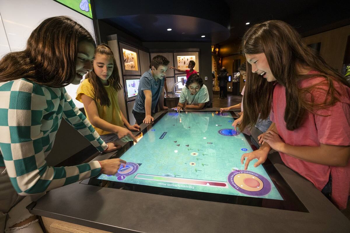 Octubre, el mes donde los niños entran gratis en San Diego