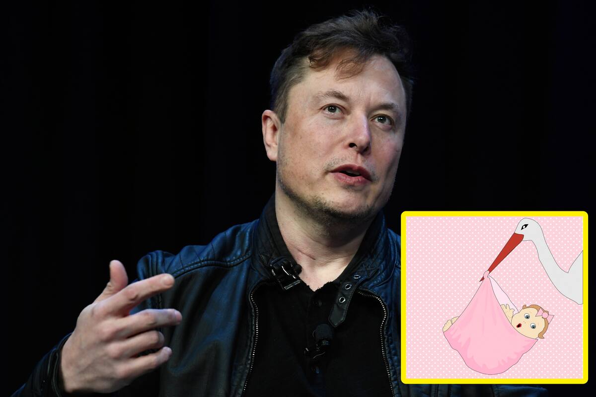 Las preocupaciones de Elon Musk sobre el colapso de la civilización debido a la disminución de las tasas de natalidad