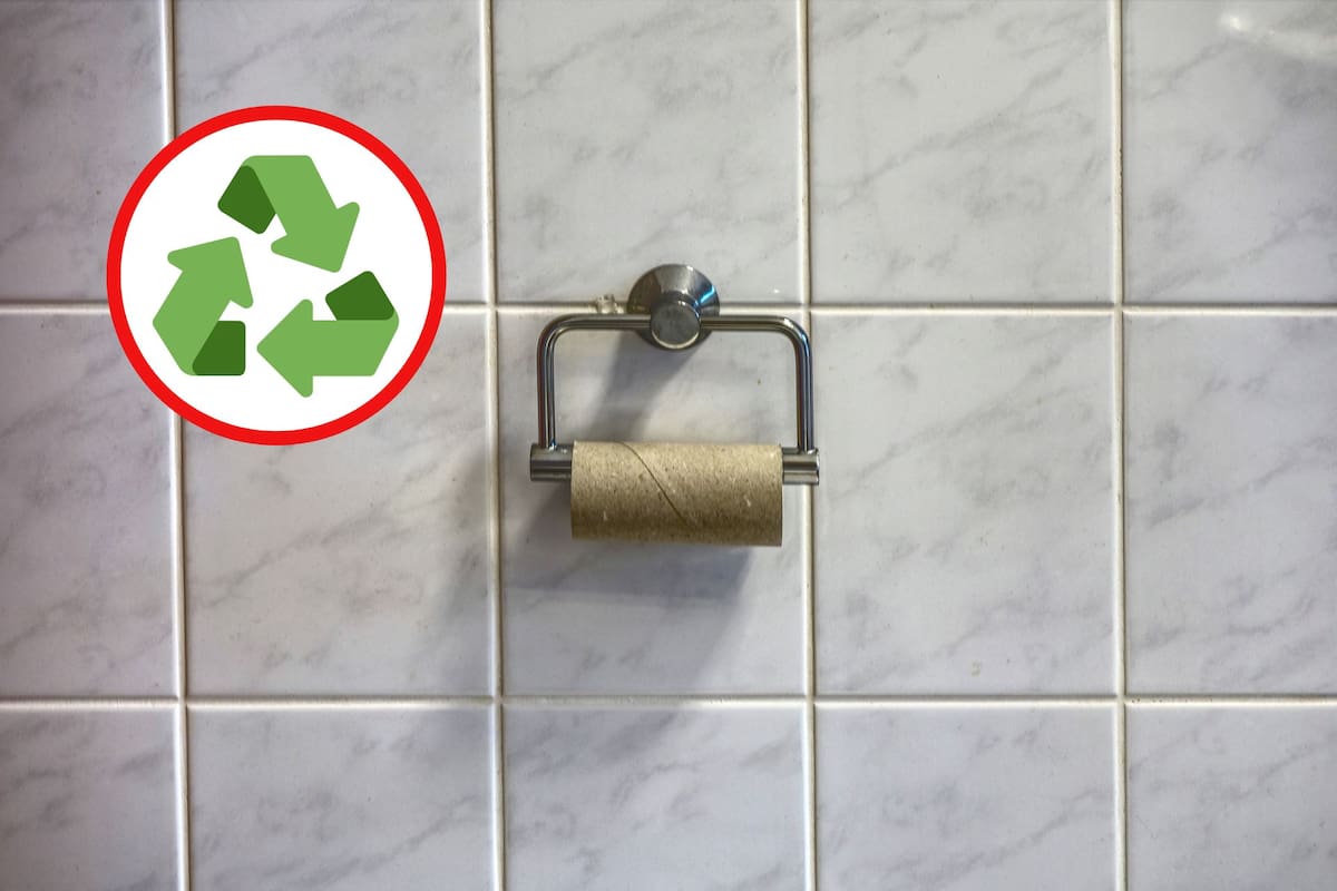 Cómo reutilizar tubos de papel higiénico: trucos de reciclaje que sí funcionan
