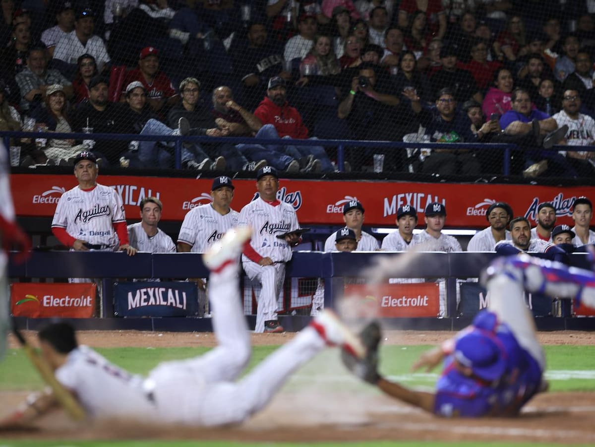 Foto: Juan J. Morales.